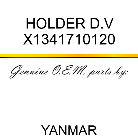 HOLDER, D.V X1341710120