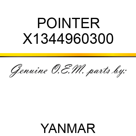 POINTER X1344960300