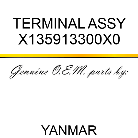 TERMINAL ASSY X135913300X0