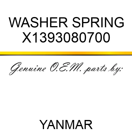 WASHER, SPRING X1393080700