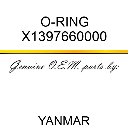 O-RING X1397660000