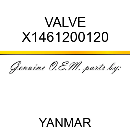 VALVE X1461200120