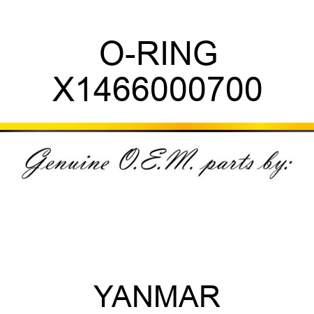 O-RING X1466000700