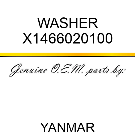 WASHER X1466020100