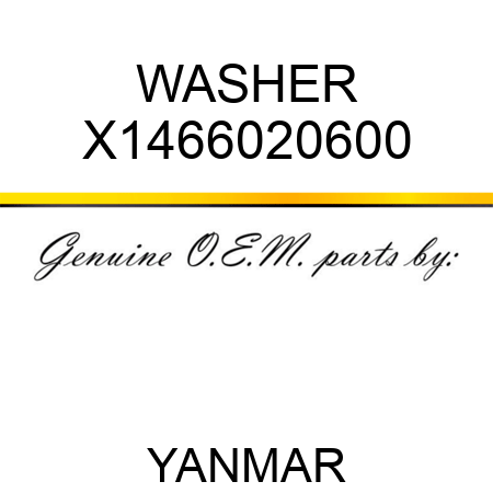 WASHER X1466020600