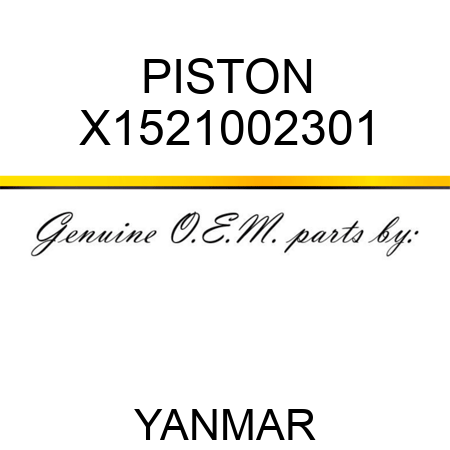 PISTON X1521002301