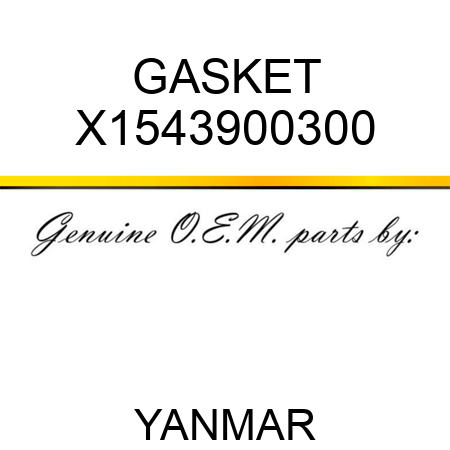 GASKET X1543900300