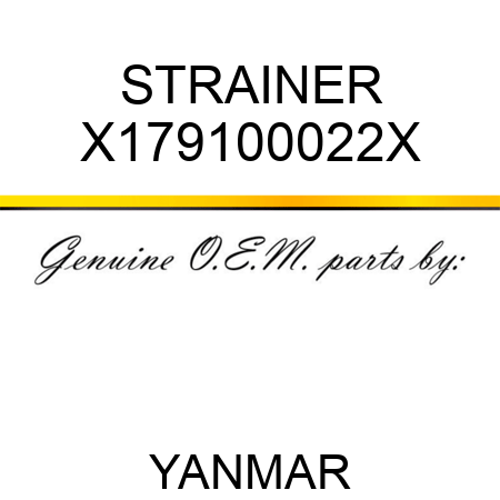 STRAINER X179100022X