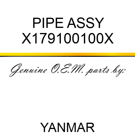 PIPE ASSY X179100100X