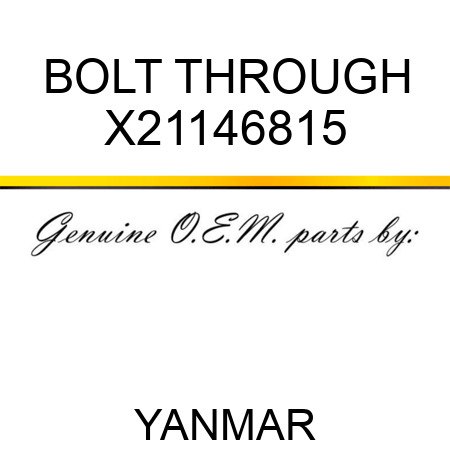 BOLT, THROUGH X21146815