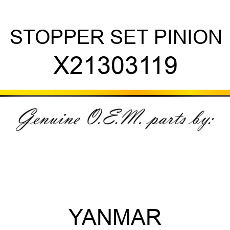 STOPPER SET, PINION X21303119