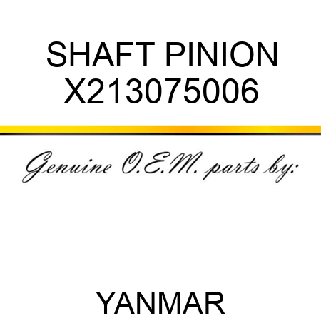 SHAFT, PINION X213075006