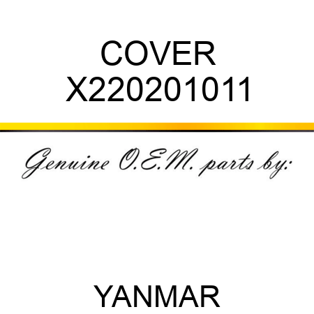 COVER X220201011