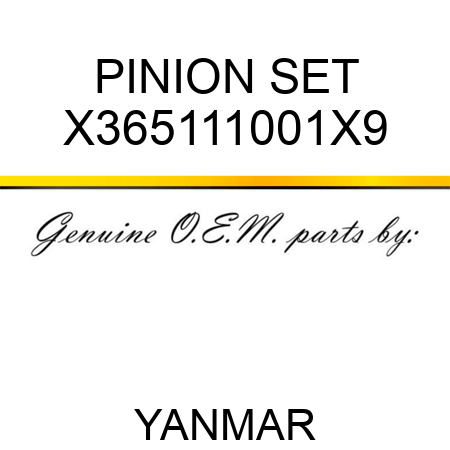 PINION SET X365111001X9