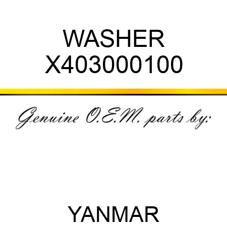 WASHER X403000100