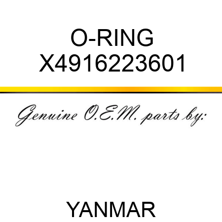 O-RING X4916223601