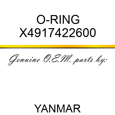 O-RING X4917422600