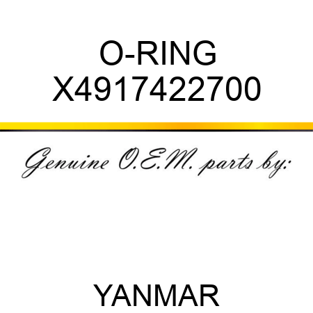 O-RING X4917422700