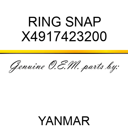 RING, SNAP X4917423200