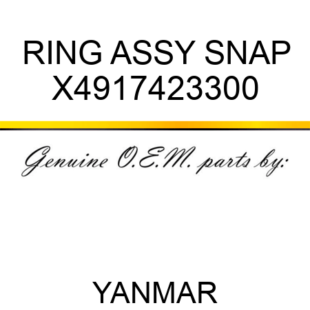 RING ASSY, SNAP X4917423300