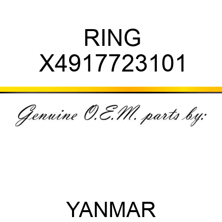 RING X4917723101