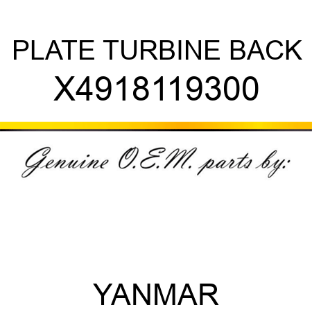 PLATE, TURBINE BACK X4918119300