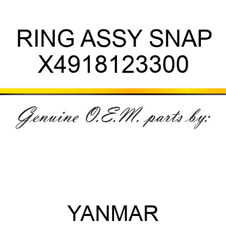 RING ASSY, SNAP X4918123300