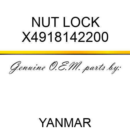 NUT, LOCK X4918142200