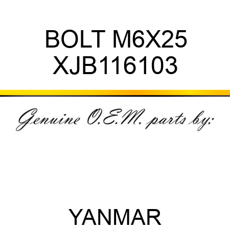 BOLT, M6X25 XJB116103