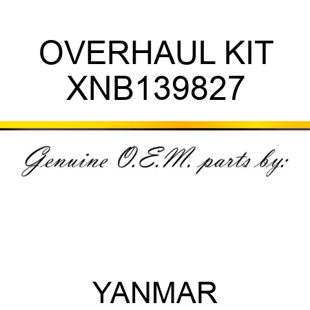 OVERHAUL KIT XNB139827