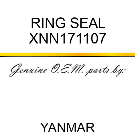 RING, SEAL XNN171107