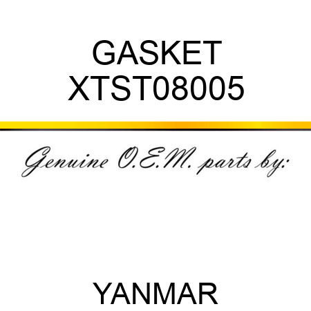 GASKET XTST08005