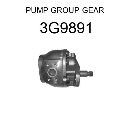 PUMP GROUP-GEAR 3G9891
