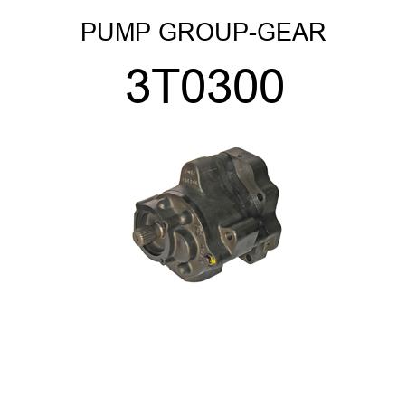 PUMP GROUP-GEAR 3T0300