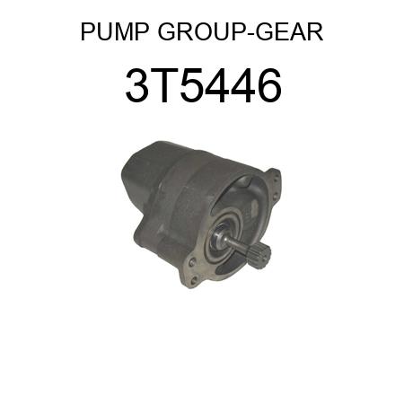 PUMP GROUP-GEAR 3T5446