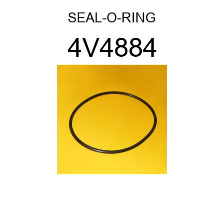 SEAL-O-RING 4V4884