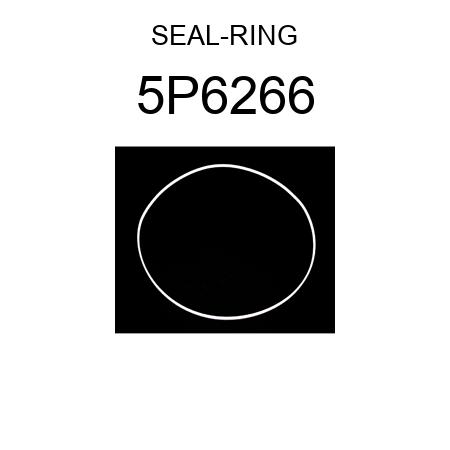 SEAL-RING 5P6266