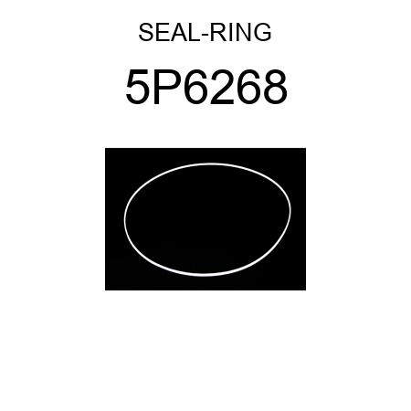 SEAL-RING 5P6268