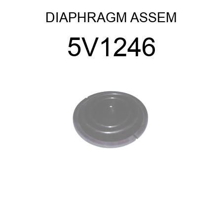 DIAPHRAGM ASSEM 5V1246