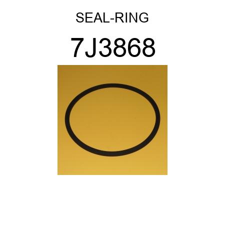 SEAL-RING 7J3868